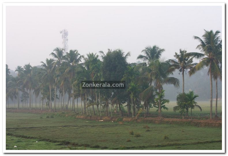 Alappuzha district nature photo 4