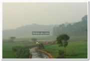 Alappuzha district nature photo 7