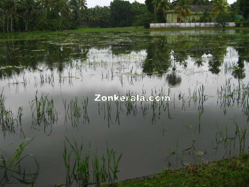 Cheruthana rainy season