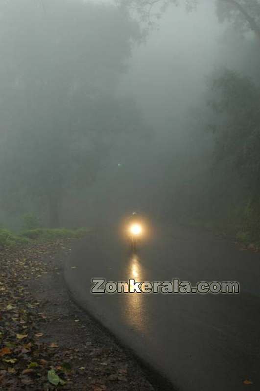 Foggy road