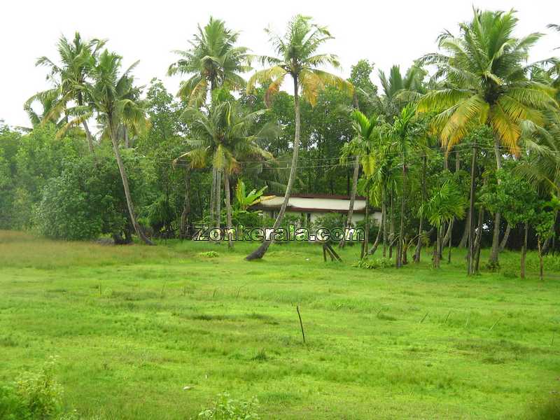 Kerala village