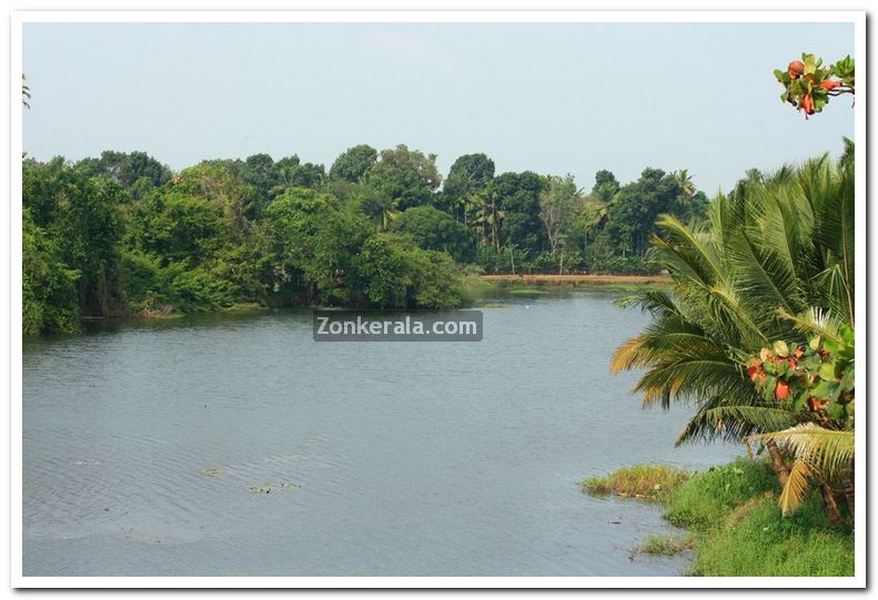 Rivers in kuttanad 4