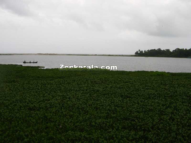 Thottappalli kayal and sea