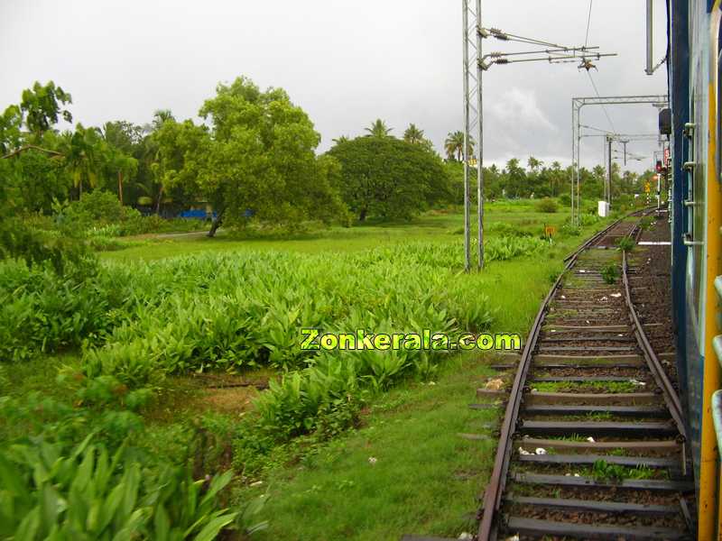 View from train