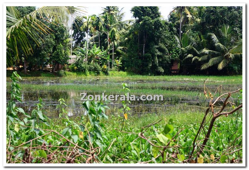 Water filled small ponds