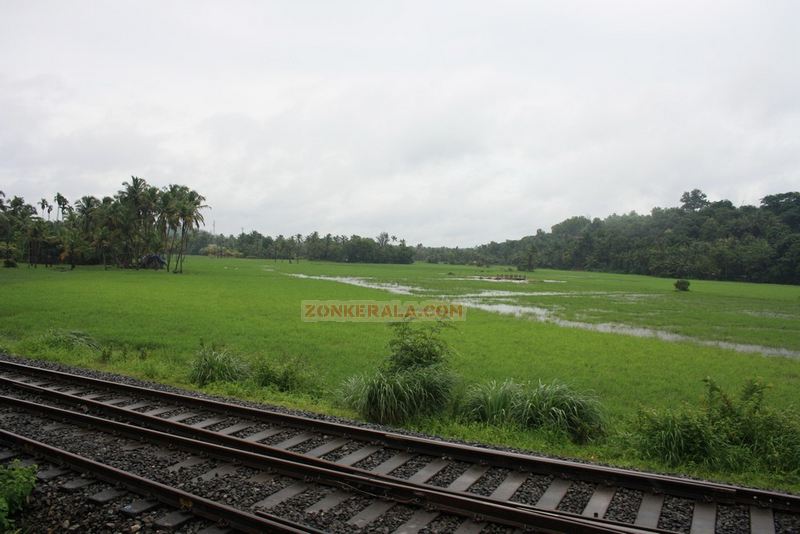 Field near rail track