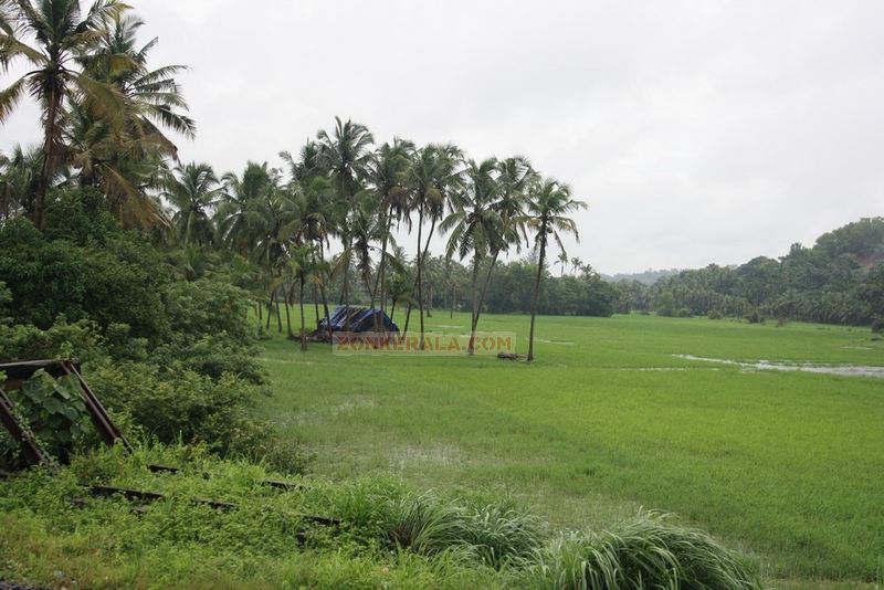 Fields near rail tracks