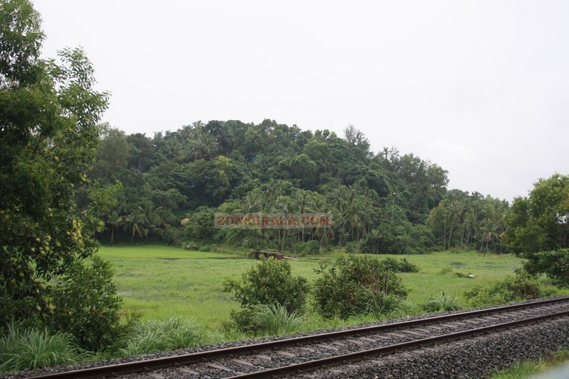 Kerala greenary near tracks