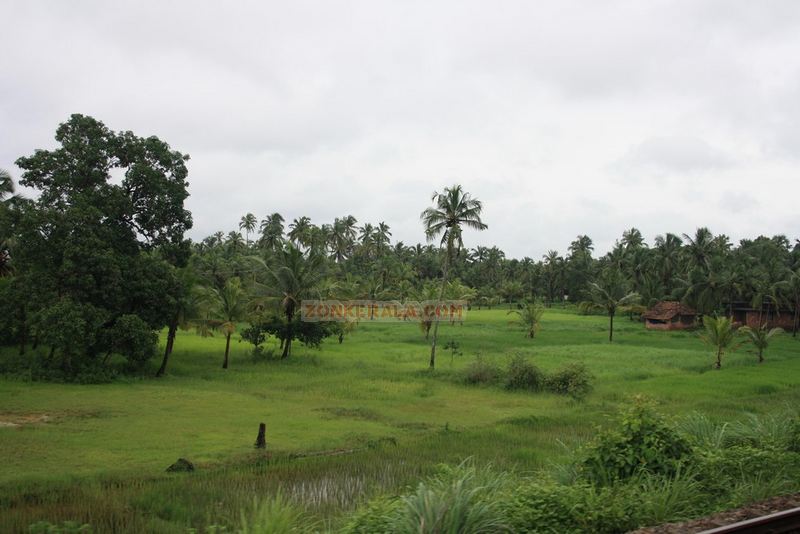 North kerala greenary