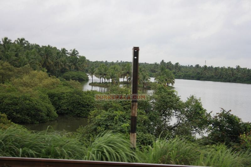 River from the rail tracks in kerala
