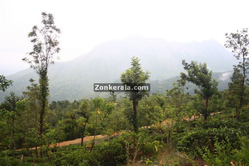 Enroute to ponmudi 10