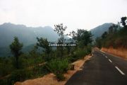 Enroute to ponmudi 9