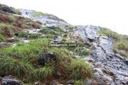 Ponmudi hilltop photos 16