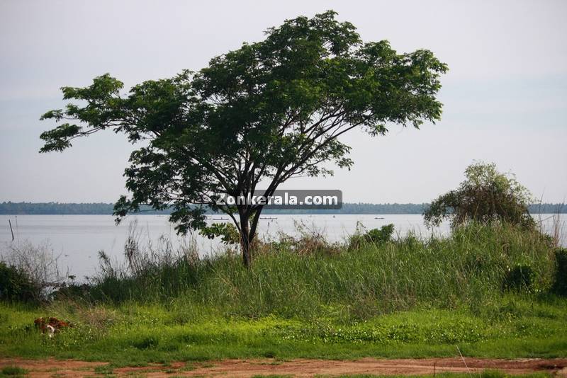 Thanneermukkam bund photo 4