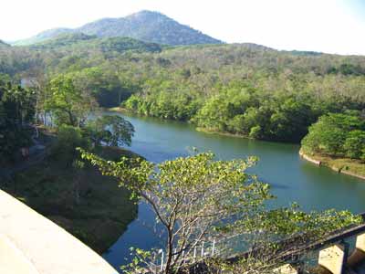 Thenmala dam 2736