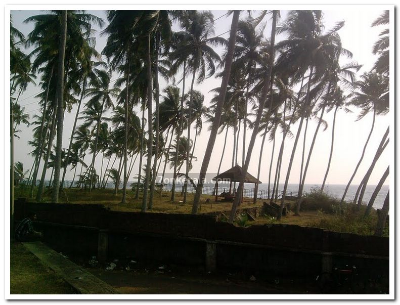 Varkala beach photo 7