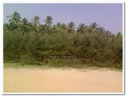 Varkala papanasam beach photo 3