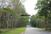 Beautiful road view wayanad wildlife sanctury 4 891