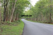 Beautiful road view wayanad wildlife sanctury 7 998