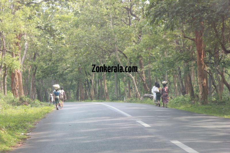 Tribal people at wayanad sanctury 341