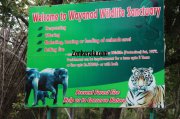Welcome board to wayanad sanctury 695
