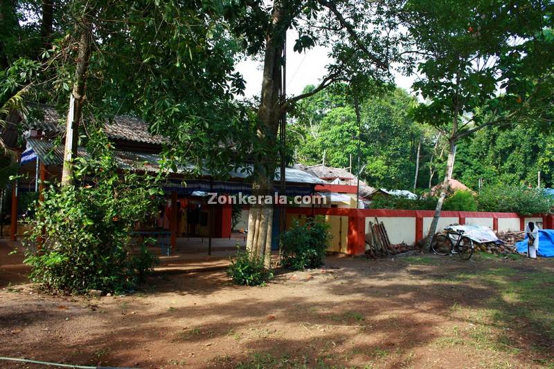 Kochu kanyattukulangara temple ayaparampu 3