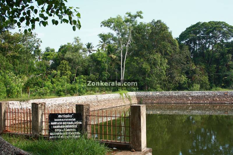 Thevarodathu mahavishnu temple haripad 2