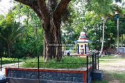 Thevarodathu mahavishnu temple haripad 3