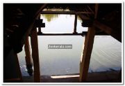 Ambalapuzha temple pond 1