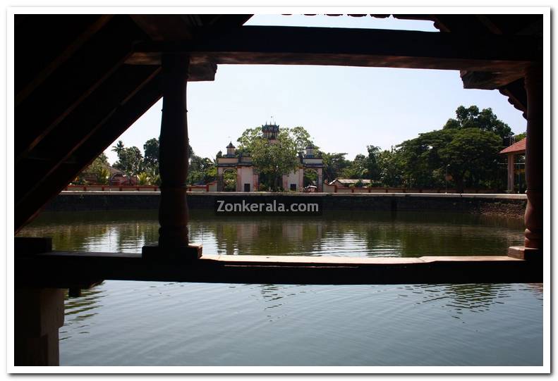 Ambalapuzha temple pond 3