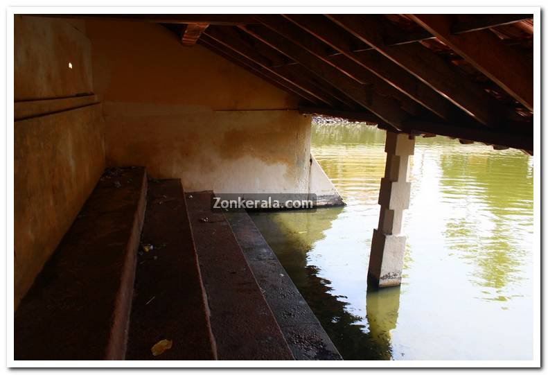 Ambalapuzha temple pond 4