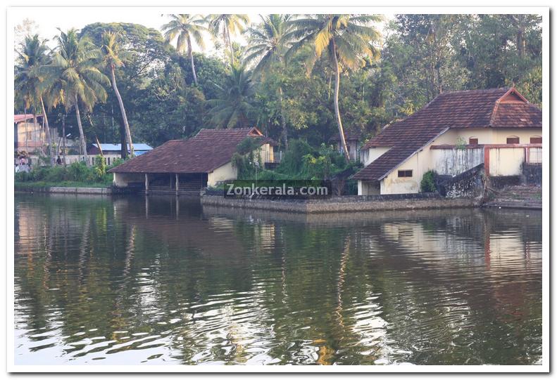 Haripad temple pond 6