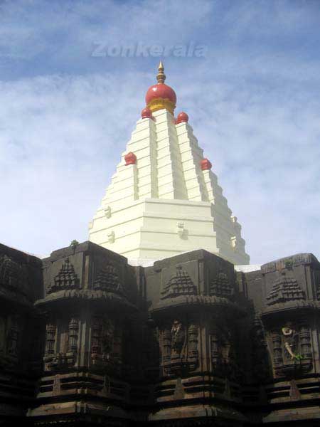 Temple 6531