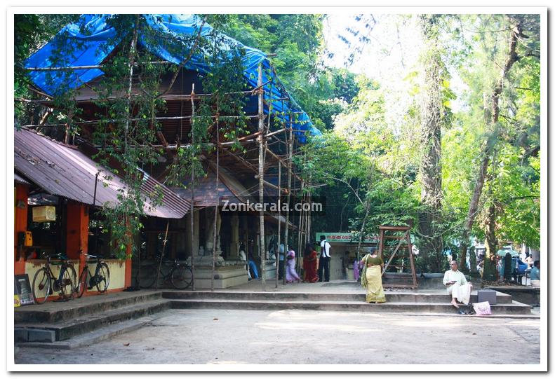 Mannarasala temple photos 1