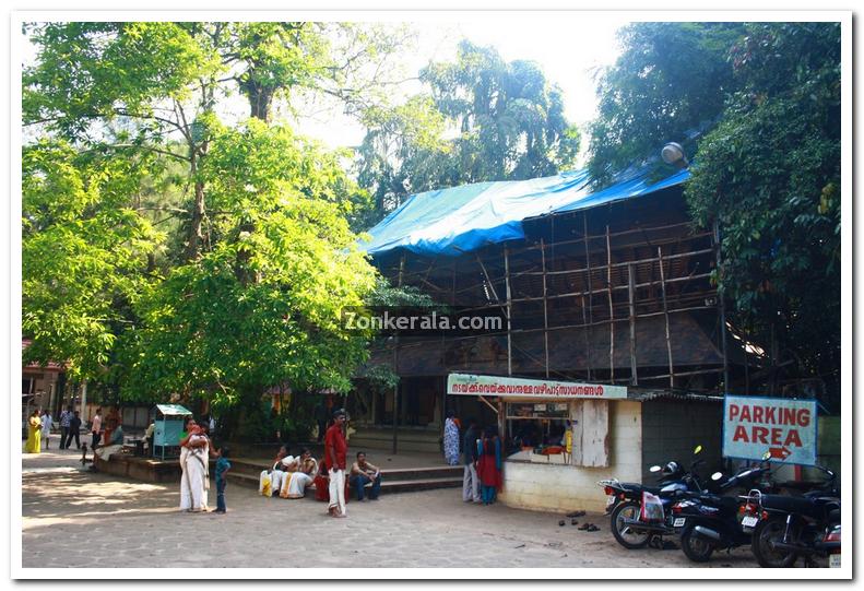 Mannarasala temple photos 5