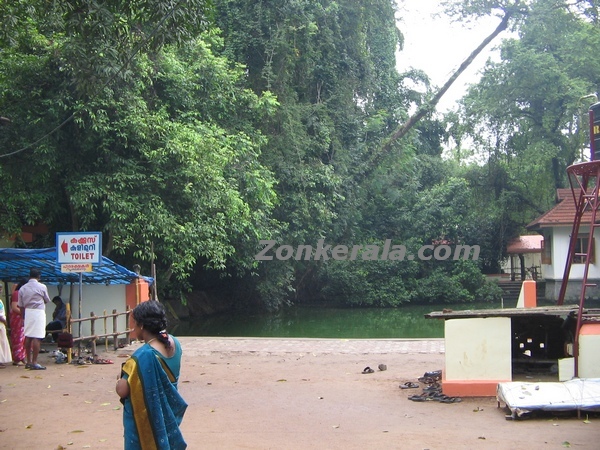 Mannarsala nagaraja temple 2