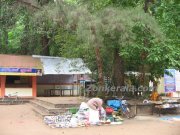 Mannarsala nagaraja temple 3