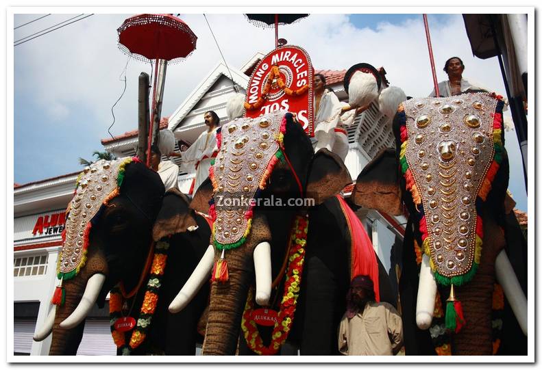 Artificial Elephants in front of Padmanabhaswamy Temple