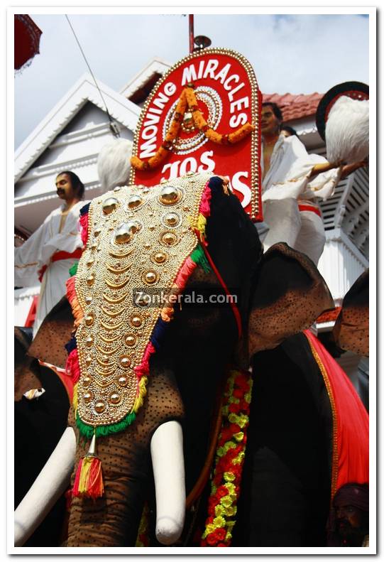 Alukkas jewellery artificial elephants 2