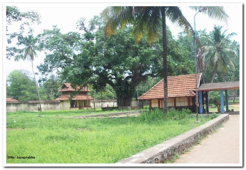 Sri vallabha temple west gate