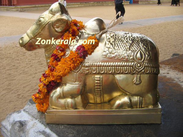 Rishabham in vaikom temple