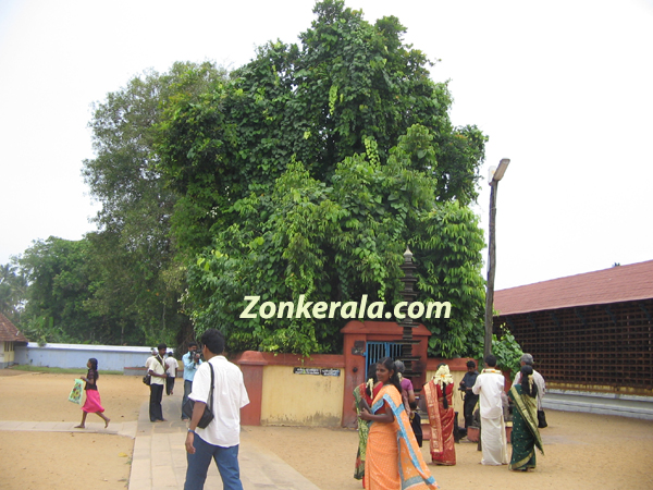 Vaikom siva temple