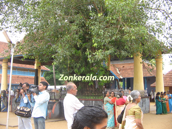 Vaikom temple east gate