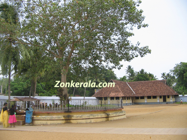 Vaikom temple serpent gods