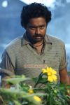 Asif Ali Stills 769