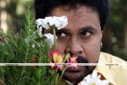 Dileep New Stills 2