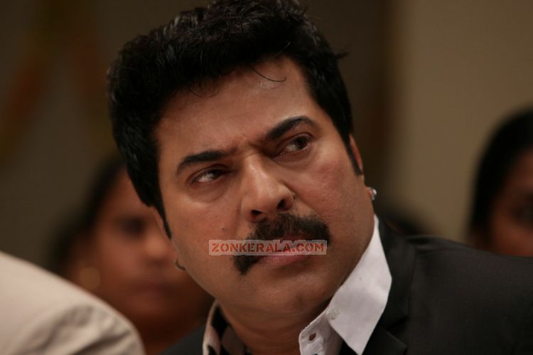 Actor Mammootty 2448