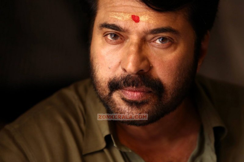 Actor Mammootty 7717