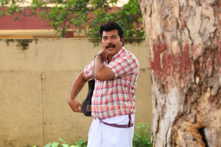 Actor Mammootty 9188