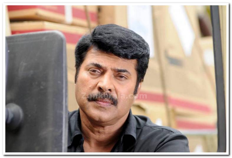 Actor Mammootty Photo 01